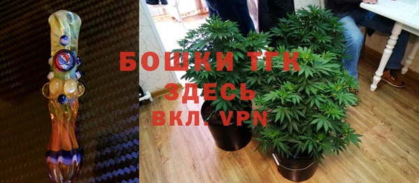 прущие грибы Белоозёрский