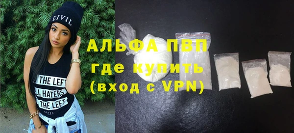 прущие грибы Белоозёрский